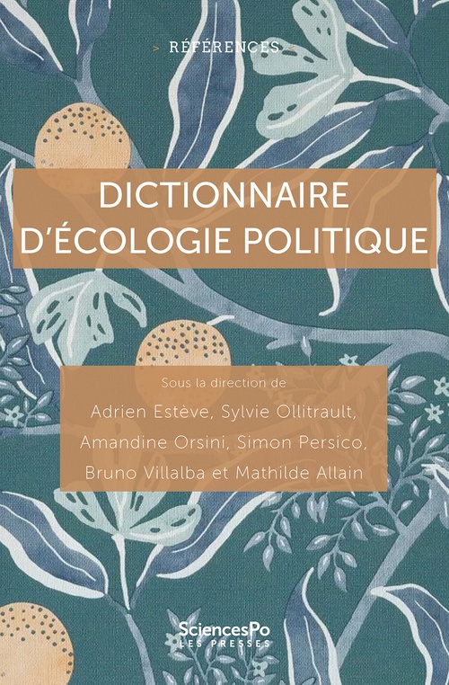 ebook cover of Dictionnaire d'écologie politique, by