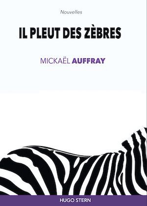 ebook cover of Il pleut des zèbres, by Mickaël Auffray