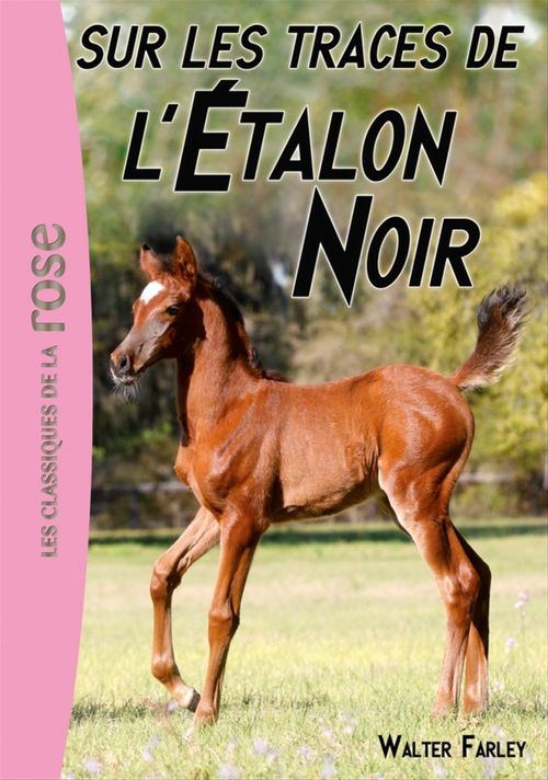 Couverture ebook de L'Etalon Noir 07 - Sur les traces de l'Étalon Noir, de Steven Farley, Walter Farley