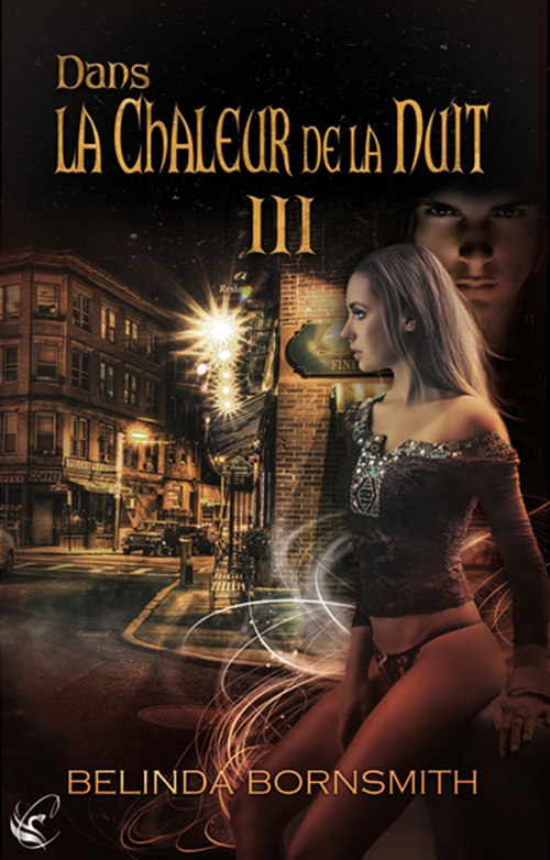 ebook cover of Dans la Chaleur de la Nuit III, by Belinda Bornsmith