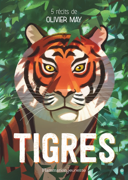 ebook cover of Tigres. Cinq récits d'aventure, by Olivier May