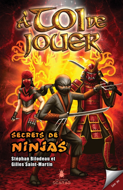 ebook cover of Secrets de ninjas, by Stéphan Bilodeau, Gilles Saint-Martin