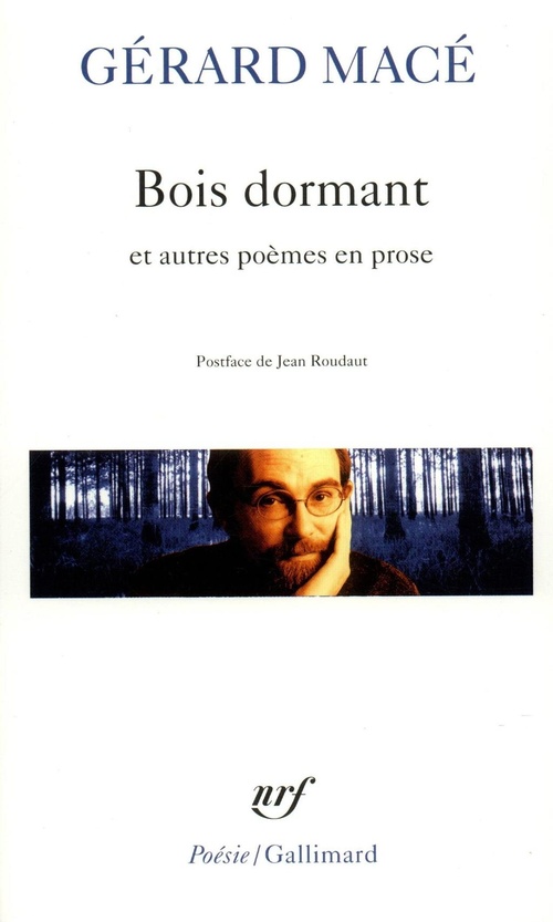 ebook cover of Bois dormant et autres poèmes en prose, by Gérard Macé