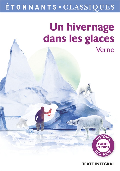 ebook cover of Un hivernage dans les glaces, by Jules Verne