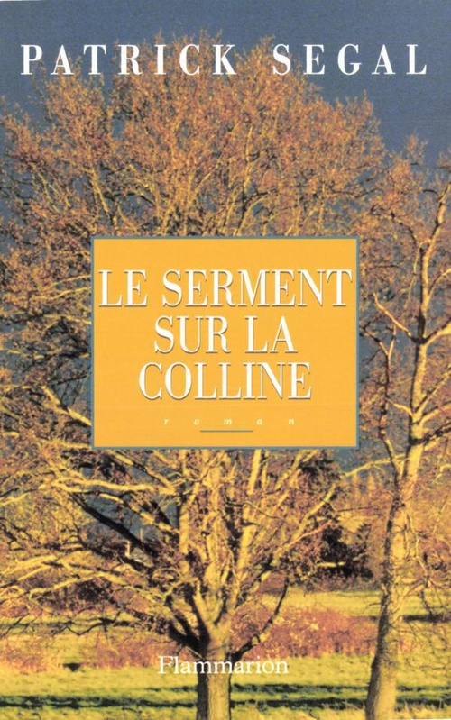 ebook cover of Le serment sur la colline, by Patrick Segal