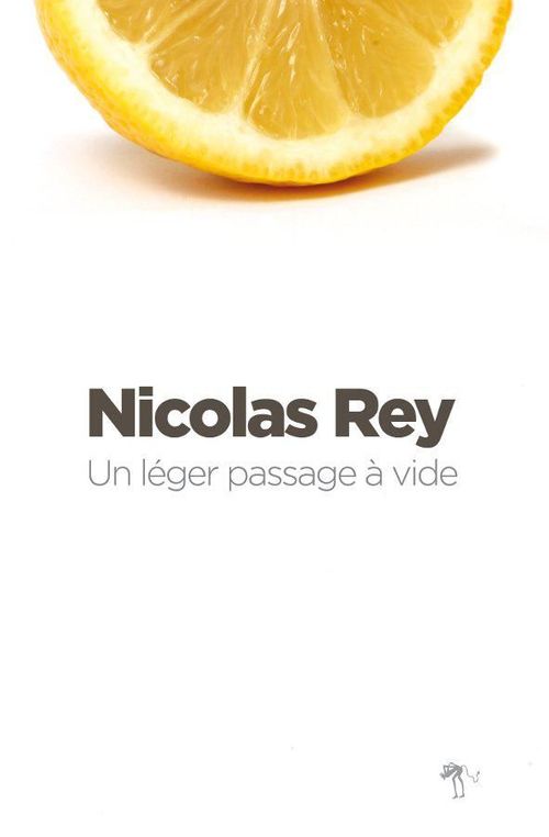 ebook cover of Un léger passage à vide, by Nicolas Rey