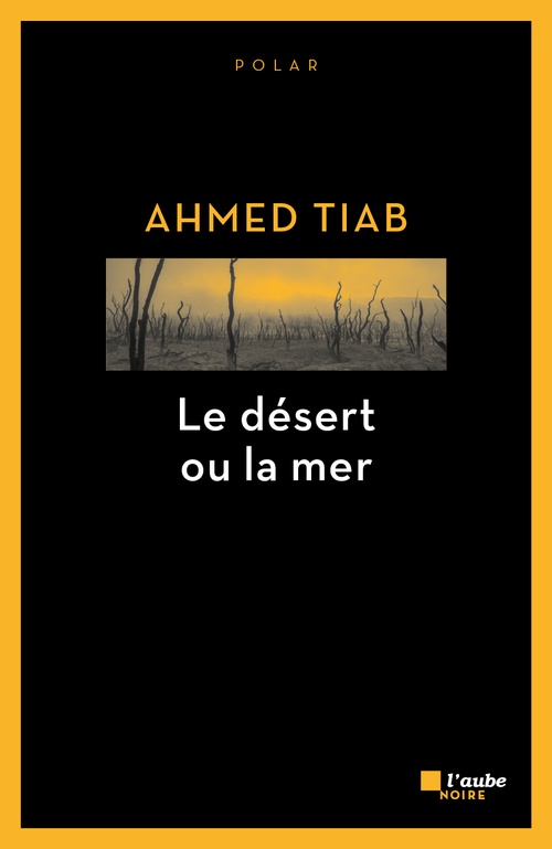 Couverture ebook de Le Désert ou la mer, de Ahmed Tiab
