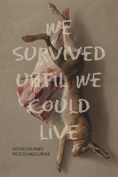 Couverture ebook de We Survived Until We Could Live, de Uchechukwu Peter Umezurike