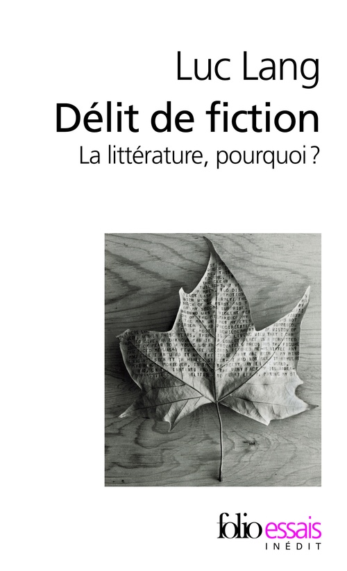 Couverture ebook de Délit de fiction. La littérature, pourquoi ?, de Luc Lang