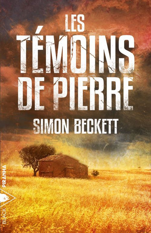 ebook cover of Les Témoins de pierre, by Simon Beckett