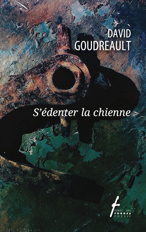 Couverture ebook de S'édenter la chienne, de David Goudreault