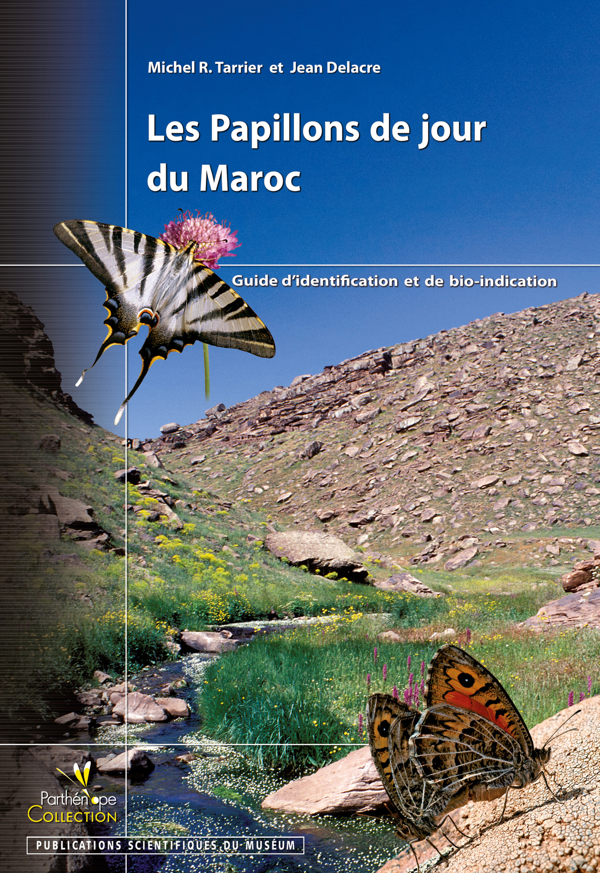 Couverture ebook de Les Papillons de jour du Maroc, de Tarrier/Delacre