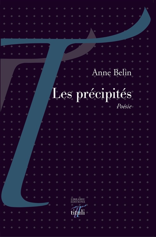 Couverture ebook de Les précipités, de Anne Belin