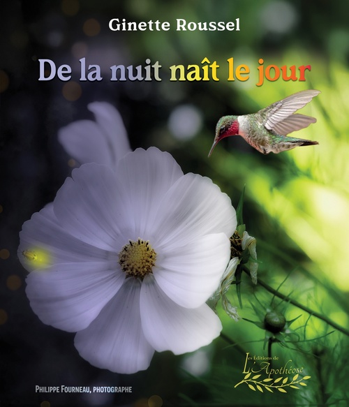 ebook cover of De la nuit nait le jour, by Ginette Rousseau