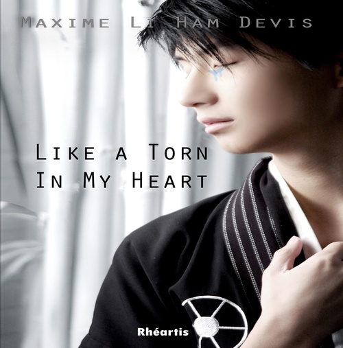 ebook cover of Like a Torn in my Heart..., by
