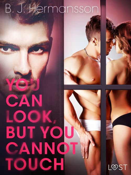 ebook cover of You Can Look, But You Cannot Touch - Erotic Short Story, by B. J. Hermansson