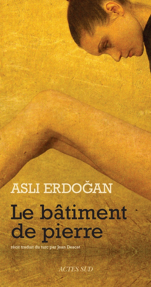 Couverture ebook de Le bâtiment de pierre, de Asli Erdogan