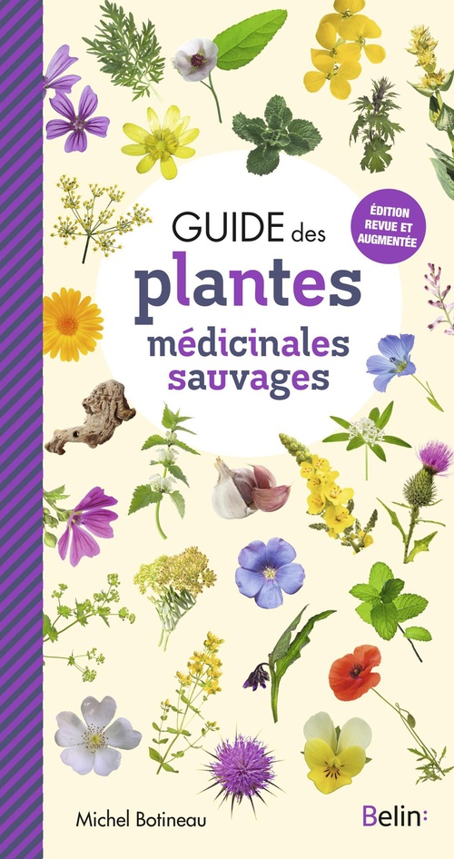 ebook cover of Guide des plantes médicinales sauvages, by Michel Botineau