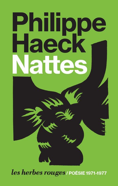 Couverture ebook de Nattes, de Philippe Haeck