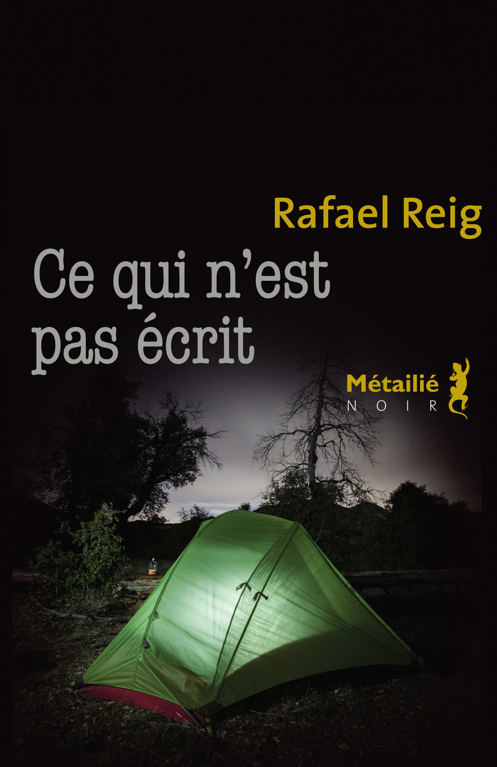 Couverture ebook de Ce qui n'est pas écrit, de Rafael Reig