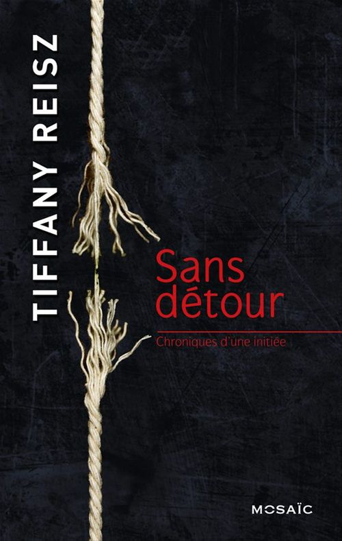 Couverture ebook de Sans détour, de Tiffany Reisz