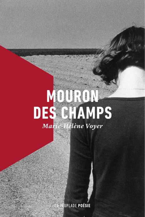 Couverture ebook de Mouron des champs, de Marie-Hélène Voyer