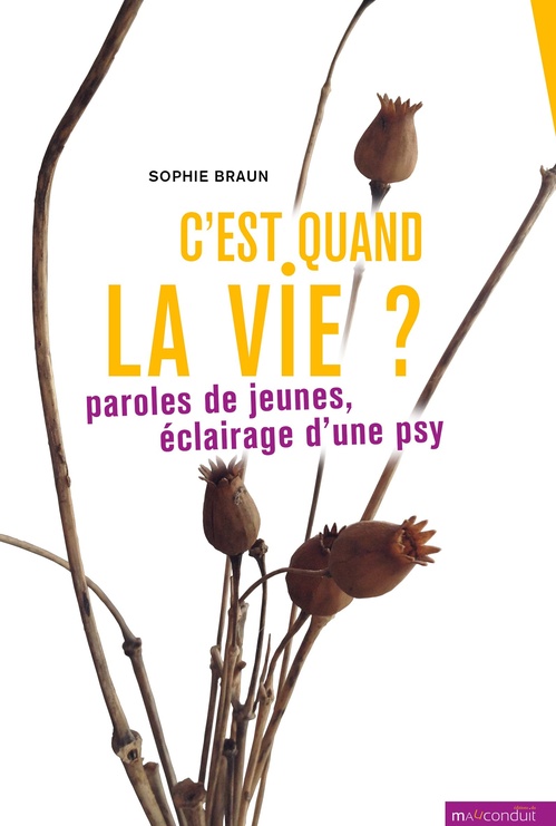 Couverture ebook de C'est quand la vie ?, de Sophie Braun