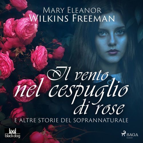 audiobook cover of Il vento nel cespuglio di rose e altre storie del soprannaturale, by Mary E. Wilkins Freeman