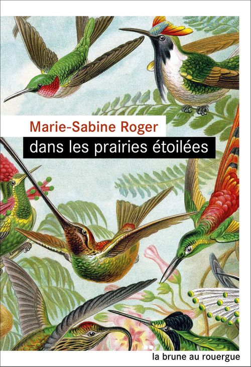 ebook cover of Dans les prairies étoilées, by Marie-Sabine Roger
