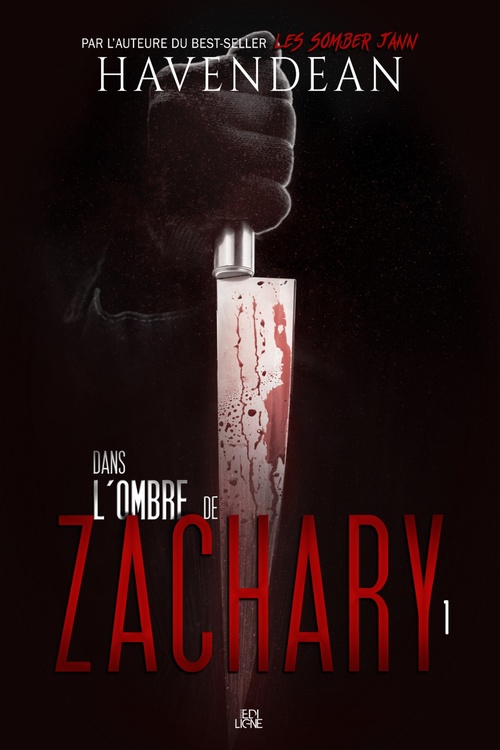 ebook cover of Dans l'ombre de Zachary, by Cynthia Havendean