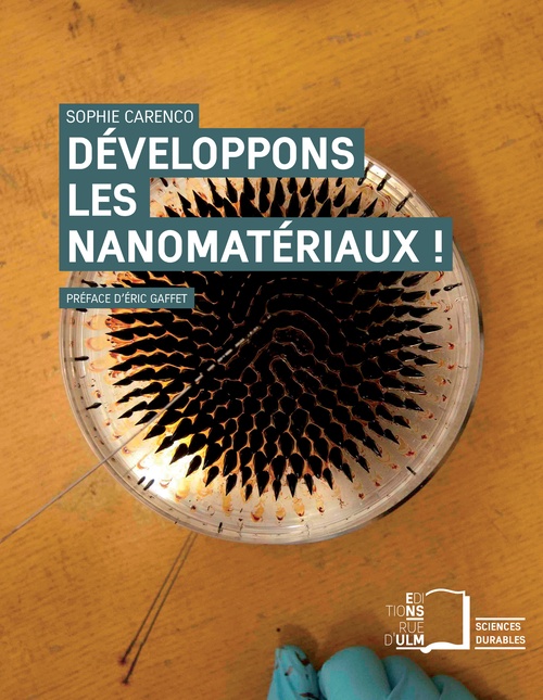 ebook cover of Développons les nanomatériaux !, by Sophie Carenco