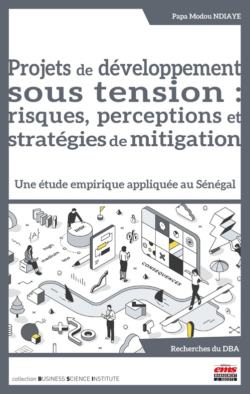 ebook cover of Projets de développement sous tension : risques, perceptions et stratégies de mitigation, by Papa Modou Ndiaye