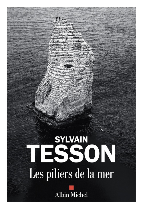 Couverture ebook de Les Piliers de la mer, de Sylvain Tesson