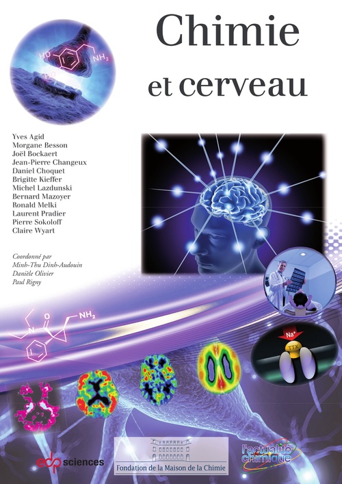 Couverture ebook de Chimie et cerveau, de Collectif