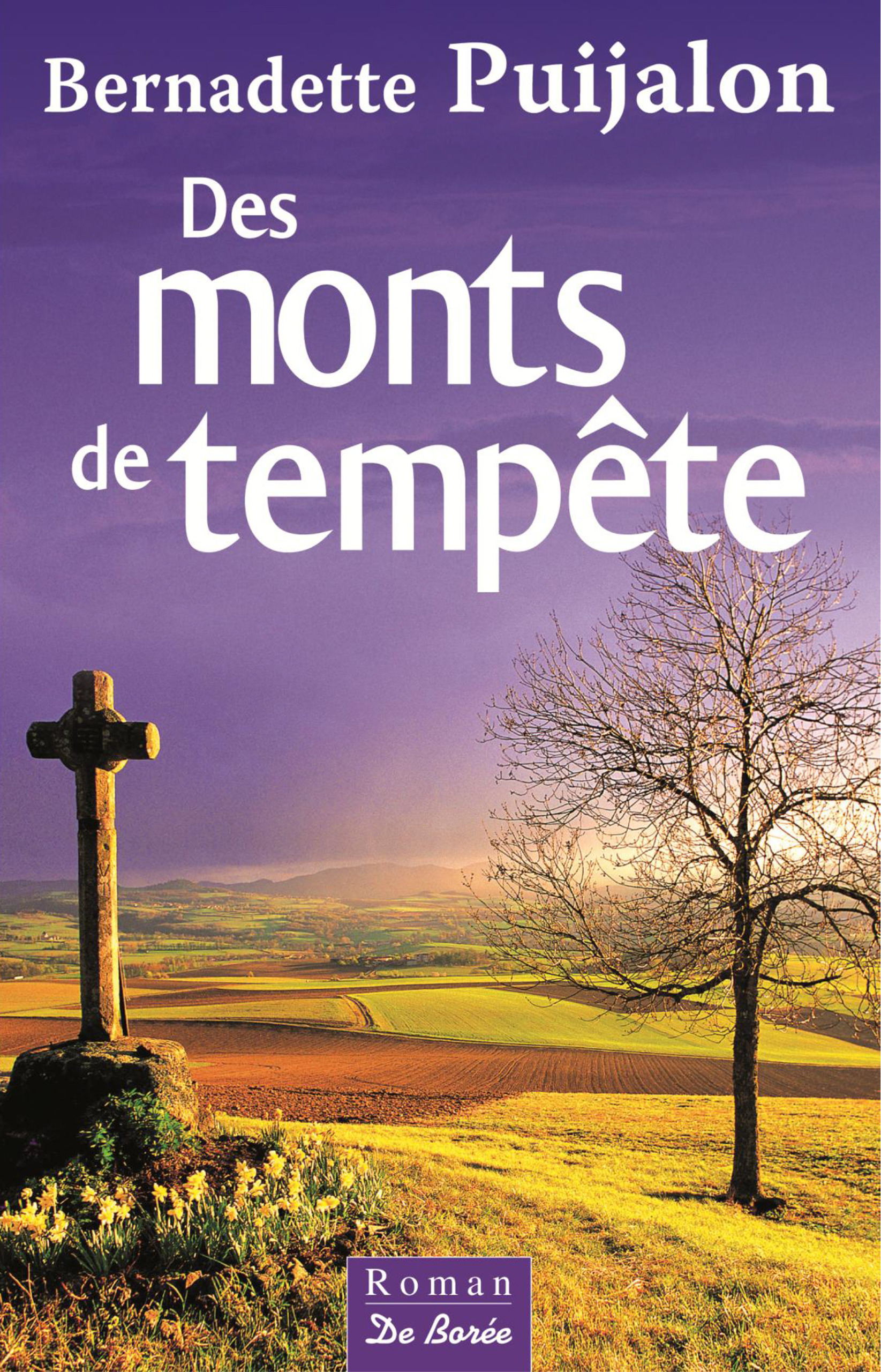 Couverture ebook de Des monts de tempête, de Bernadette Puijalon
