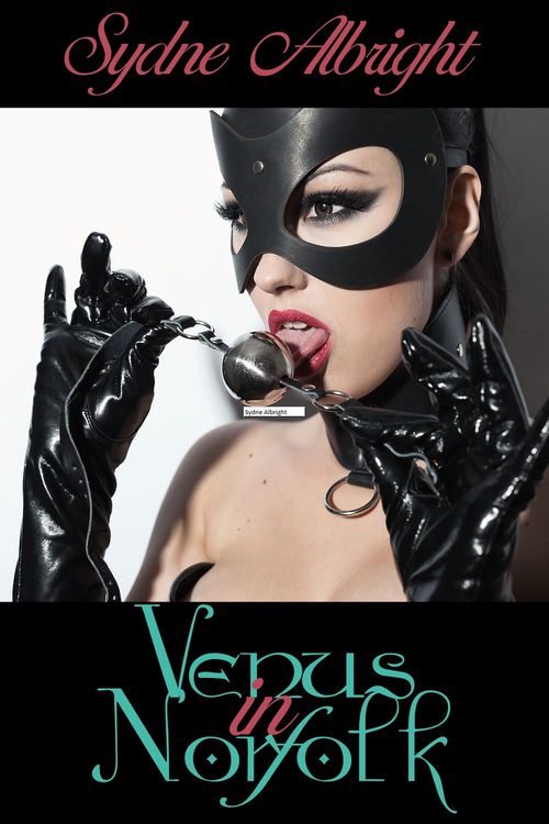 Couverture ebook de Venus in Norfolk, de Sydne Albright