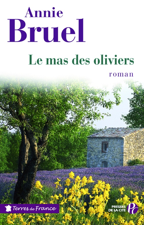 Couverture ebook de LE MAS DES OLIVIERS, de Annie Bruel