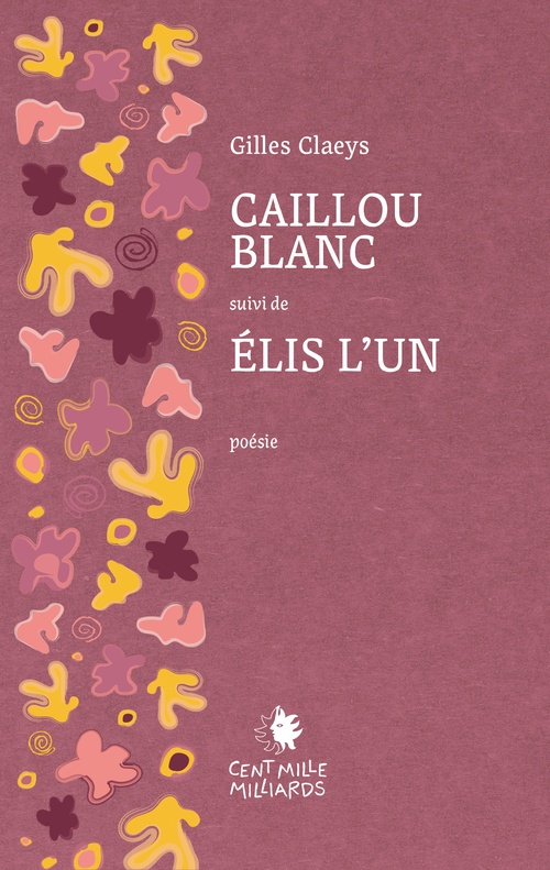 ebook cover of Caillou blanc, by Gilles Claeys