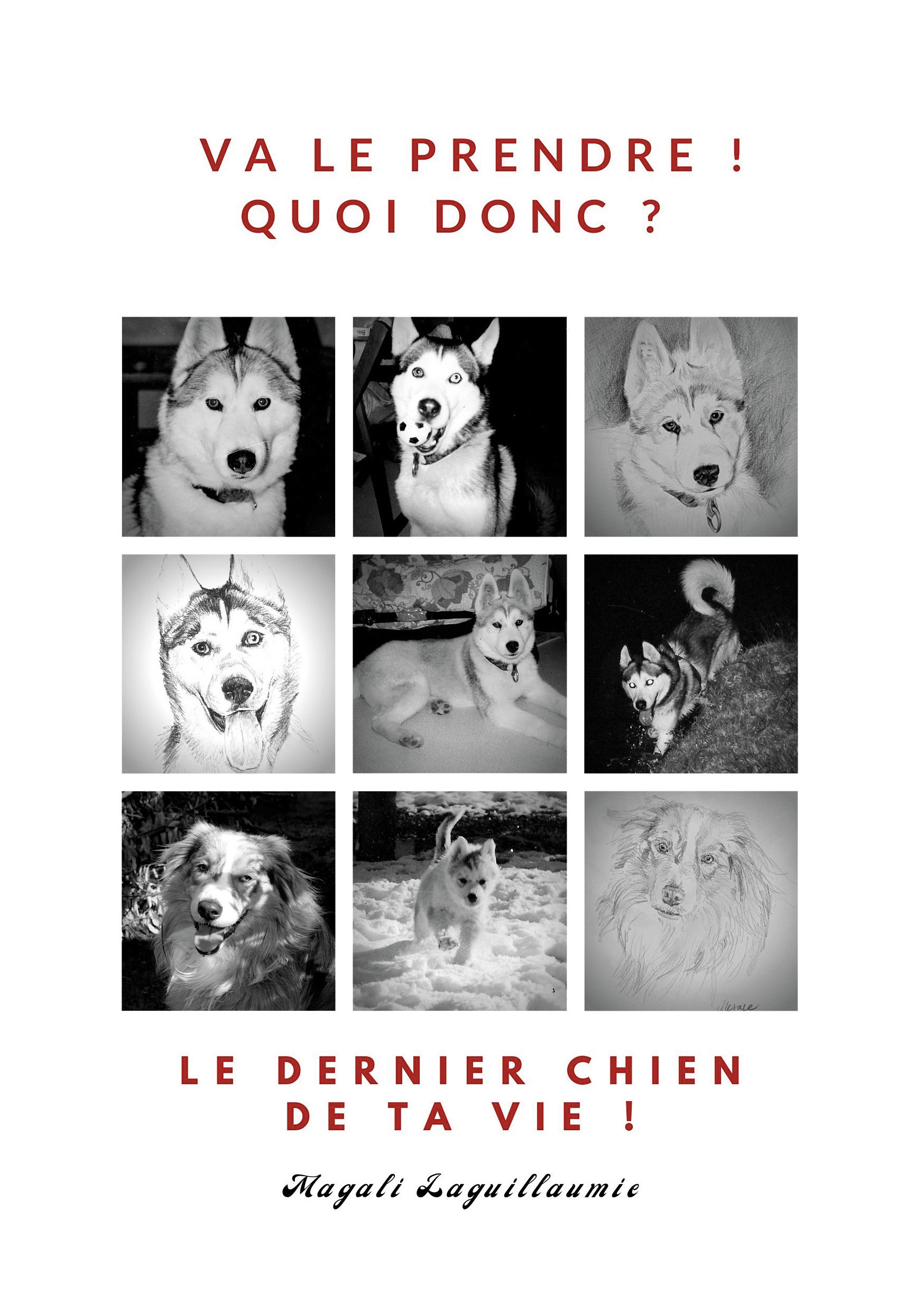 ebook cover of Va le prendre ! - Quoi donc ? - Le dernier chien de ta vie !, by Magali Laguillaumie