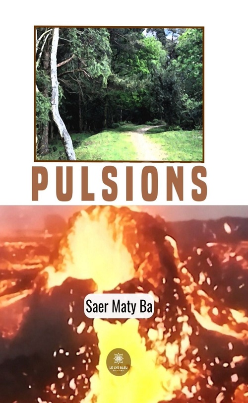 Couverture ebook de Pulsions, de Saer Maty Ba