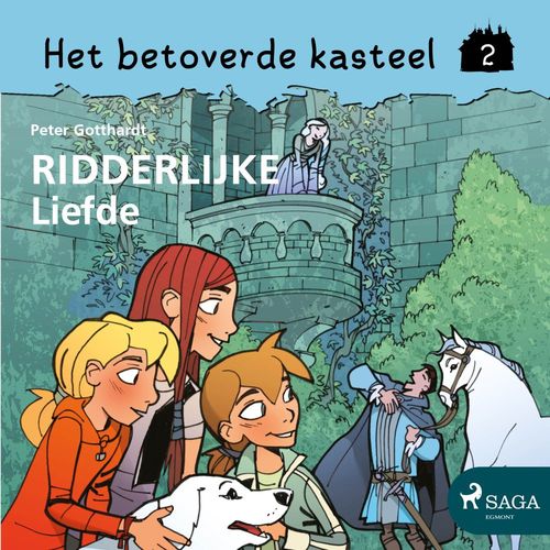 audiobook cover of Het betoverde kasteel 2 - Ridderlijke liefde, by Peter Gotthardt