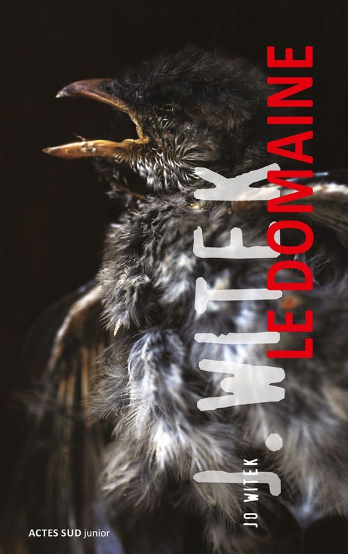 Couverture ebook de Le domaine, de Jo Witek