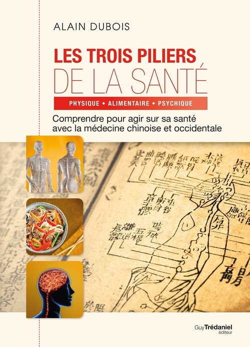 Couverture ebook de Les trois piliers de la santé, de Alain Dubois