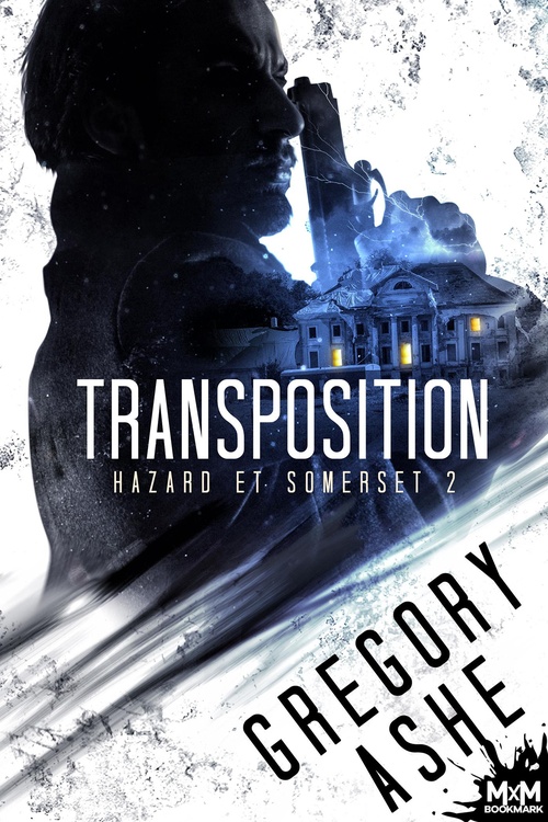 ebook cover of Transposition, by Gregory Ashe