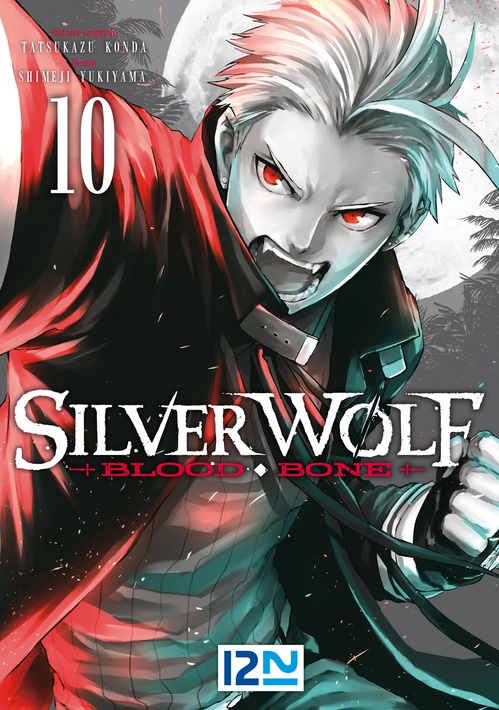 Couverture ebook de Silver Wolf - Blood Bone - tome 10, de Tatsukazu Konda, Shimeji Yukiyama