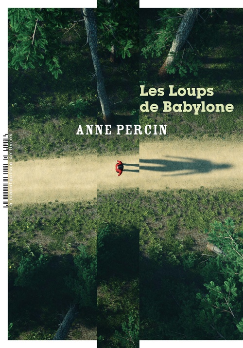 ebook cover of Les Loups de Babylone, by Anne Percin