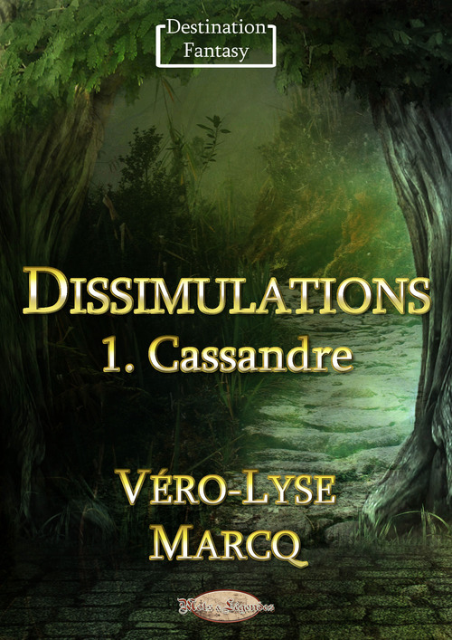 Couverture ebook de Dissimulations, de Véro-lyse Marcq