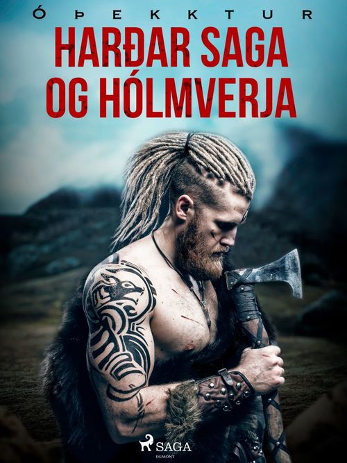 ebook cover of Harðar saga og Hólmverja , by -  OþEkktur