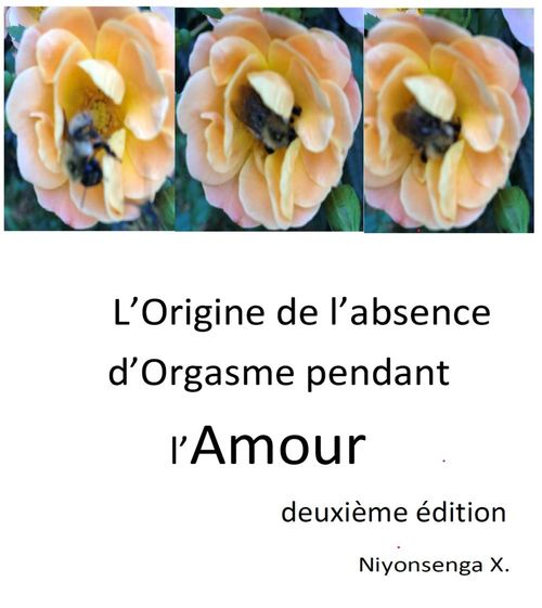 Couverture ebook de L'Origine de l'absence d'Orgasme pendant l'Amour, de X. Niyonsenga