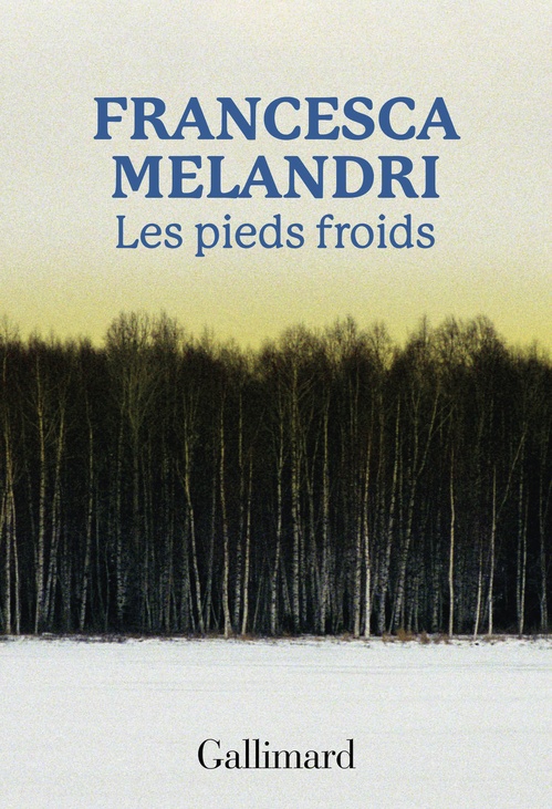 ebook cover of Les pieds froids, by Francesca Melandri